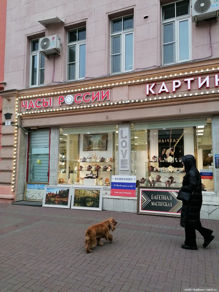 Старый Арбат, прогулка Эми (фото 8)