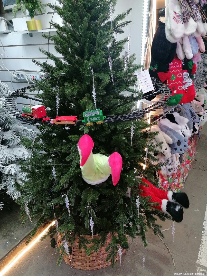 Новогодний Садовод или пред новогодние хлопоты (фото 8)