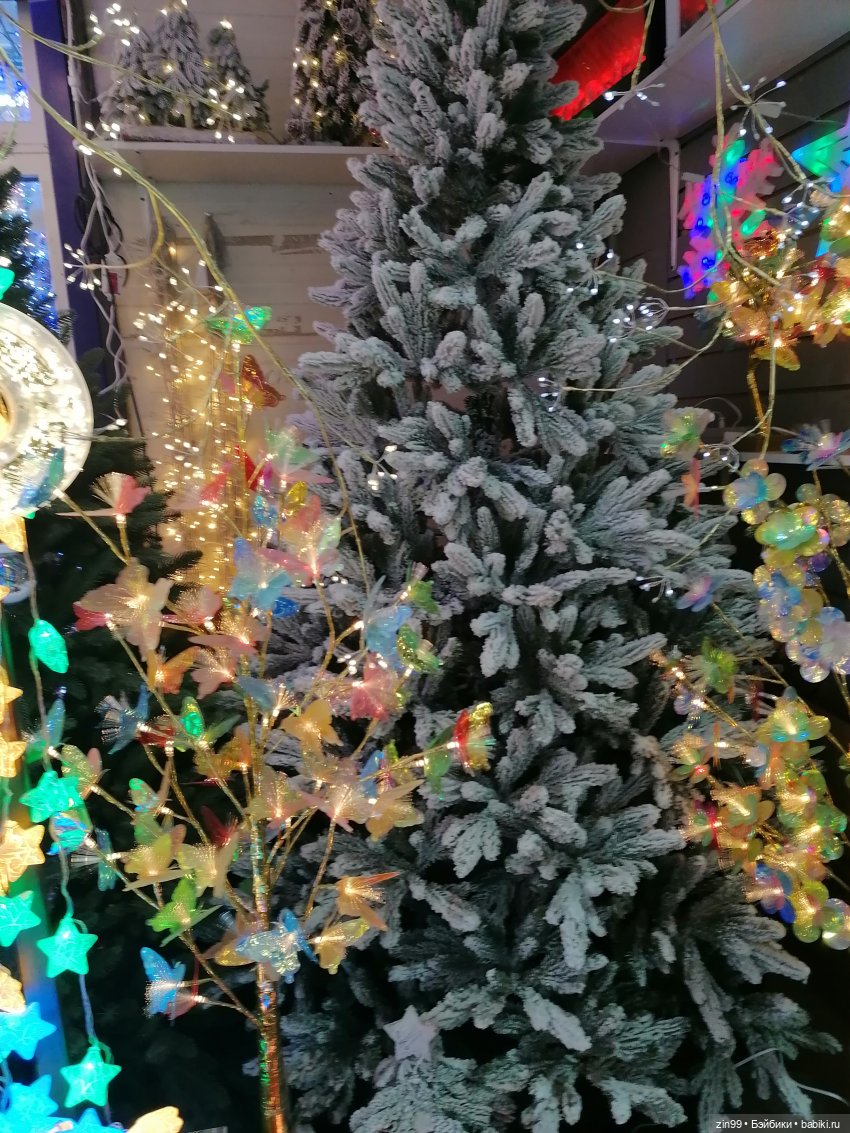 Новогодний Садовод или пред новогодние хлопоты