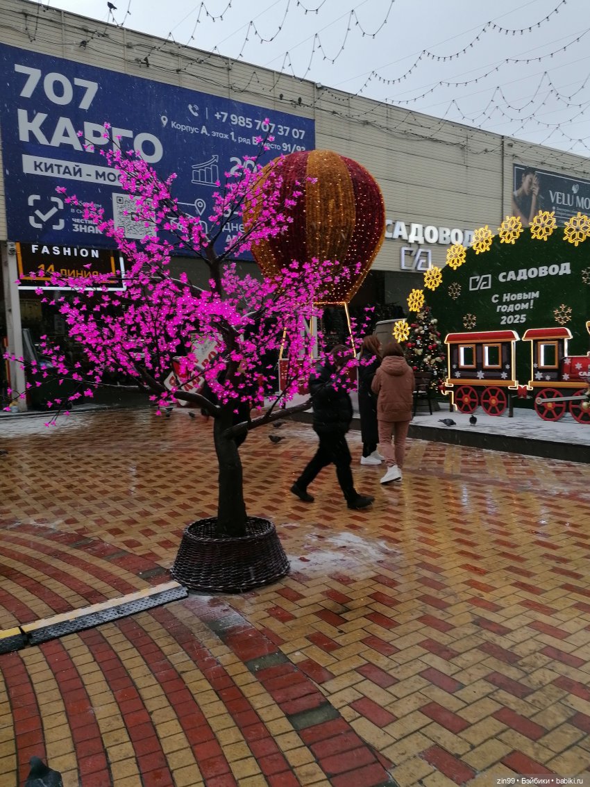 Новогодний Садовод или пред новогодние хлопоты