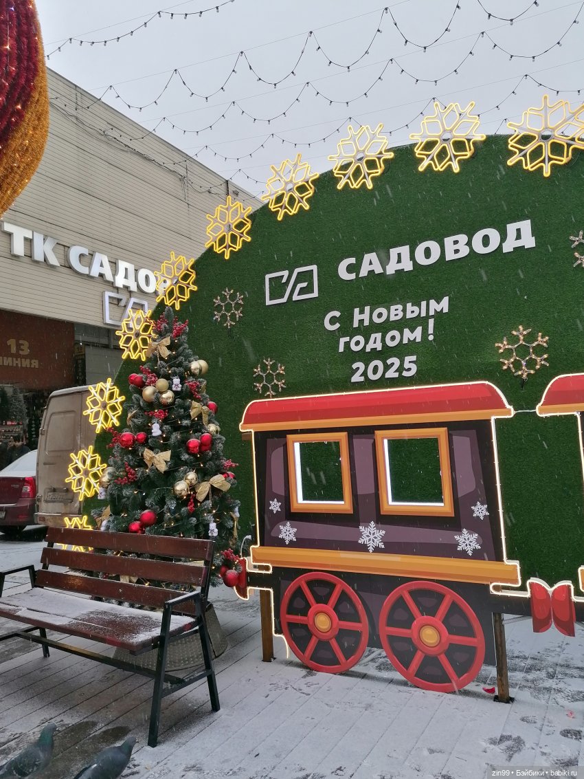 Новогодний Садовод или пред новогодние хлопоты