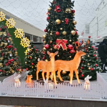 Новогодний Садовод или пред новогодние хлопоты