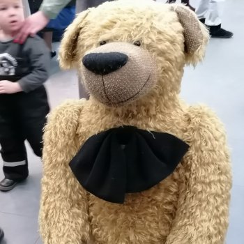 Хелло Тедди -международная выставка на Тишинке с 6-8 декабря 2024г. 2 часть.