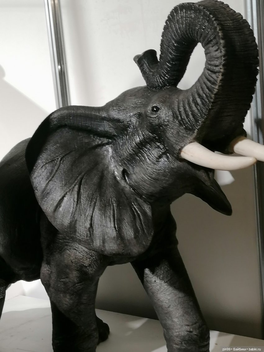 Выставка Ладья в Экспоцентре | Бэйбики Выставка Ладья в Экспоцентре