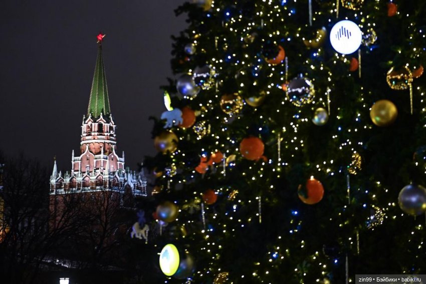 С Новым 2025 Годом — Куклы Kidz'n'Cats (Соня Хартман): шарнирные 46 см (фото 3)