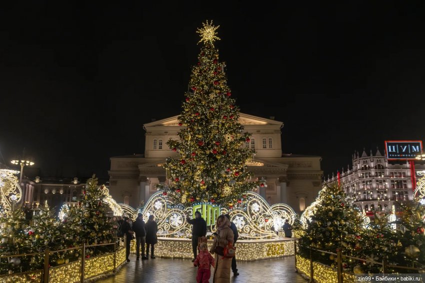 С Новым 2025 Годом — Куклы Kidz'n'Cats (Соня Хартман): шарнирные 46 см (фото 8)