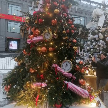 Рождество или Зима в Москве