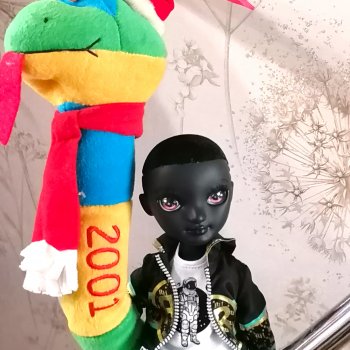 Рекс Shadow High