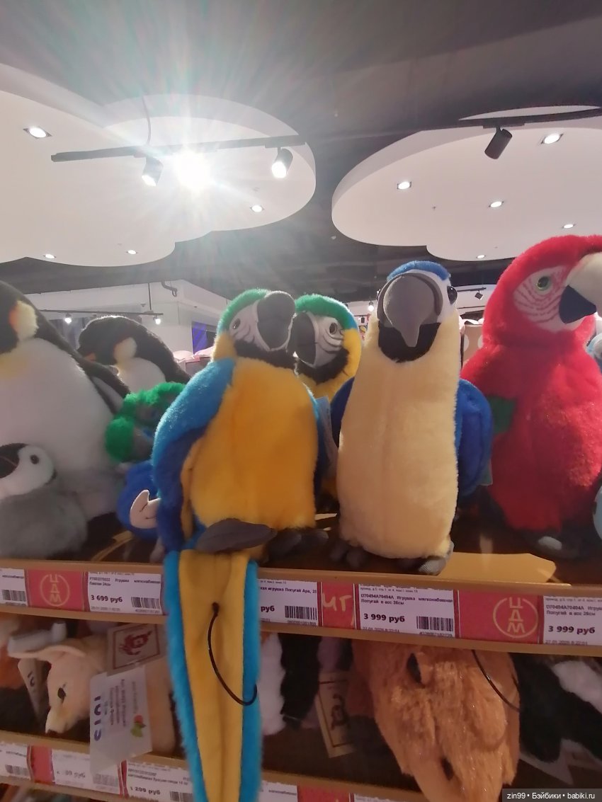 Прогулка в ЦДМ — Игровые куклы разных производителей (Разное): редкие бренды