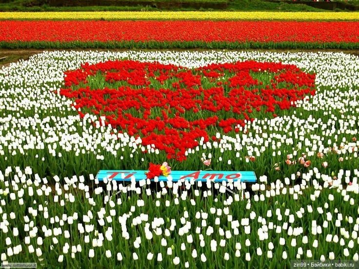 С 8 марта, с весенним и женским днем 💗