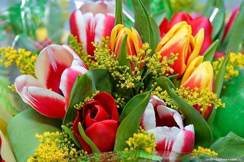 С 8 марта, с весенним и женским днем 💗