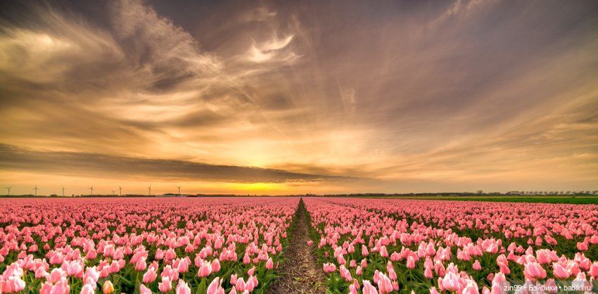 С 8 марта, с весенним и женским днем 💗