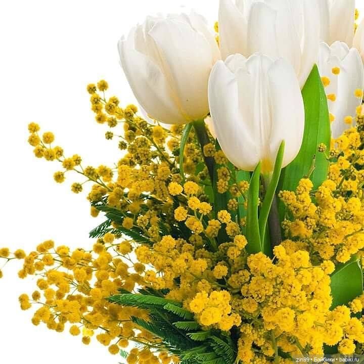 С 8 марта, с весенним и женским днем 💗