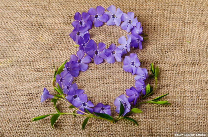 С 8 марта, с весенним и женским днем 💗 (фото 9)