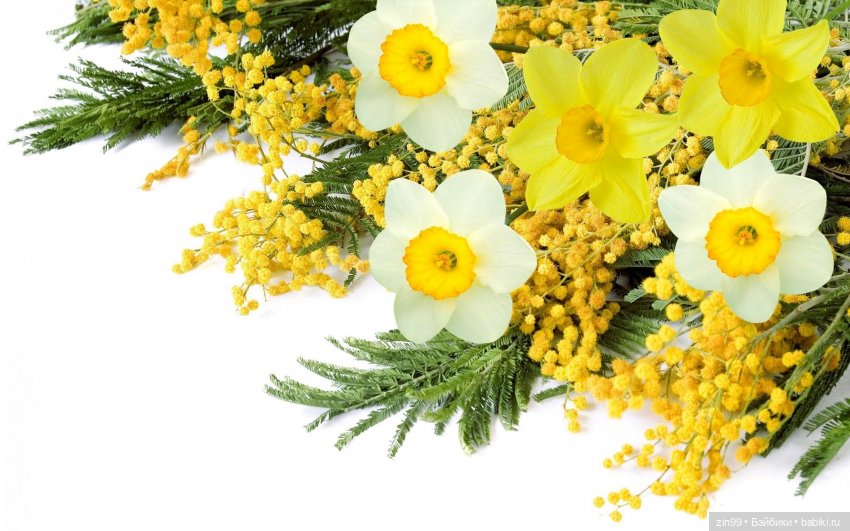 С 8 марта, с весенним и женским днем 💗