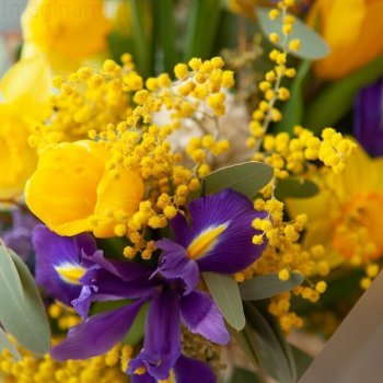 С 8 марта, с весенним и женским днем 💗