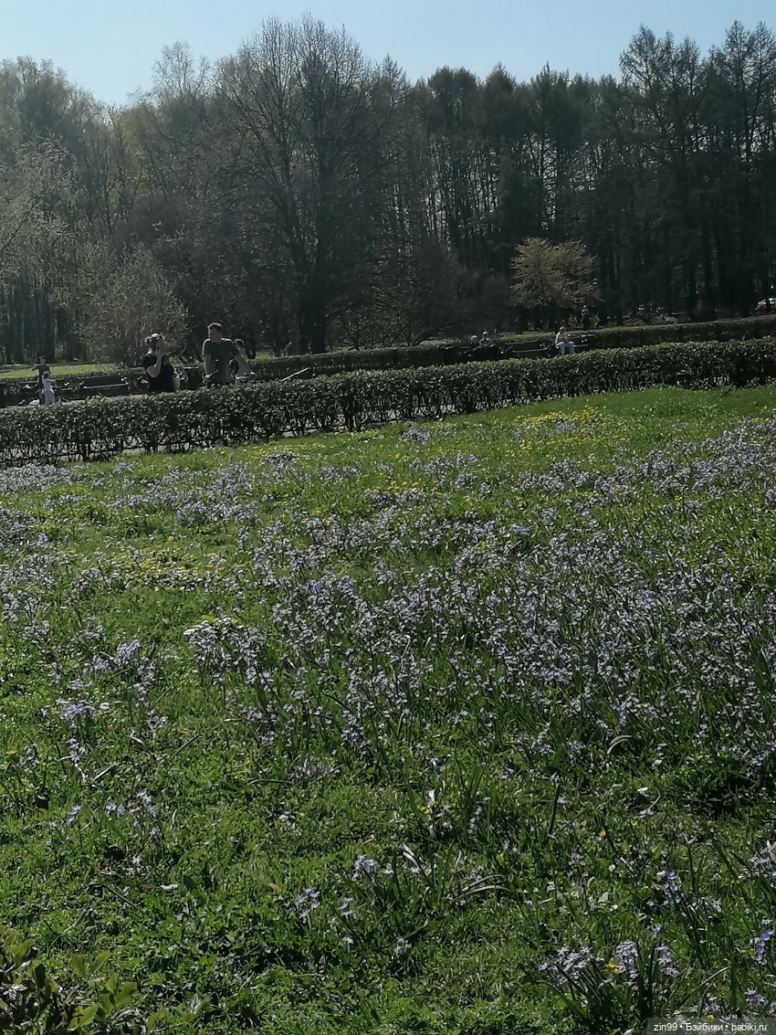 Прогулка в Ботанический сад | Бэйбики Прогулка в Ботанический сад