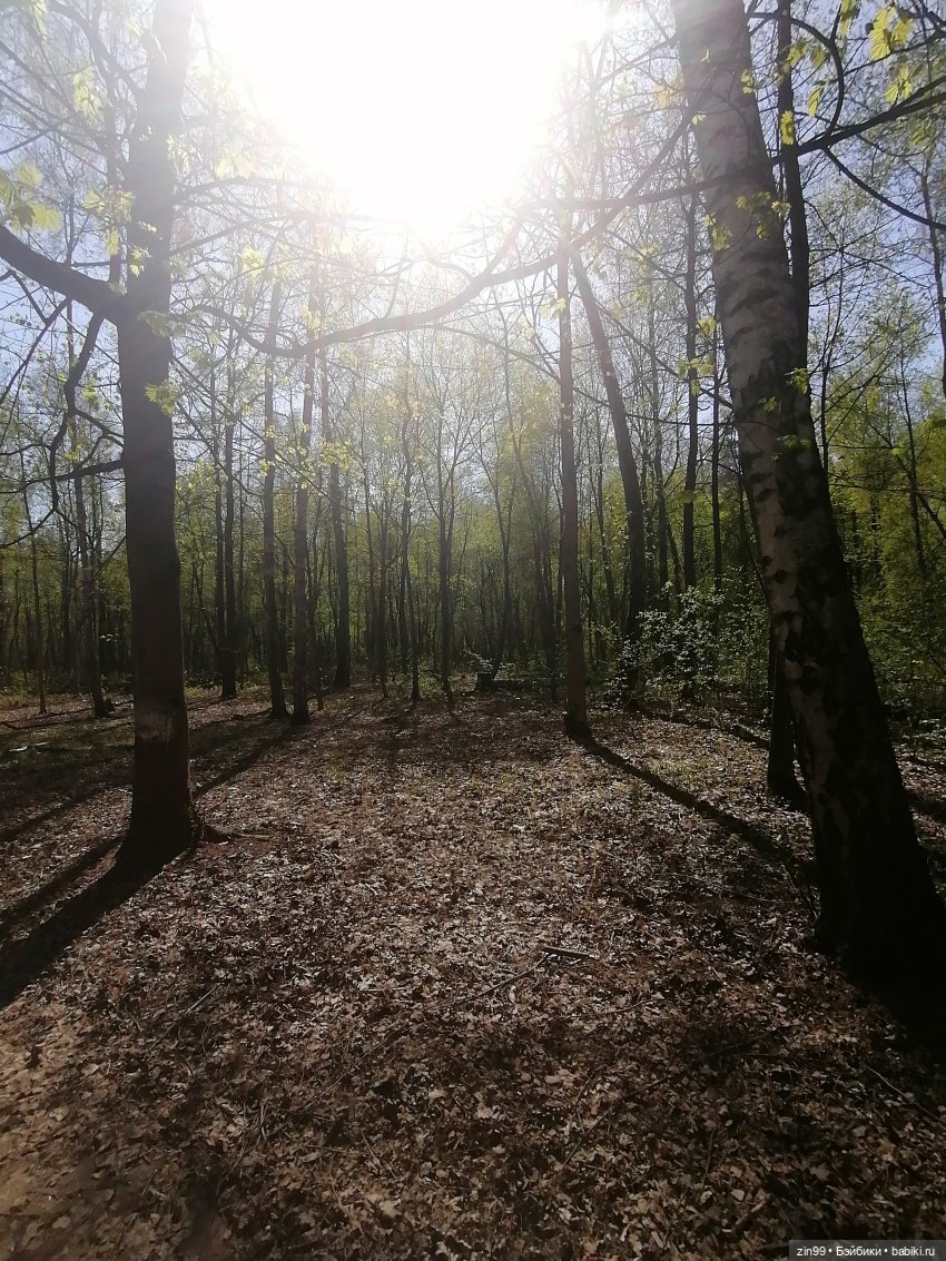 Прогулка в Ботанический сад | Бэйбики Прогулка в Ботанический сад