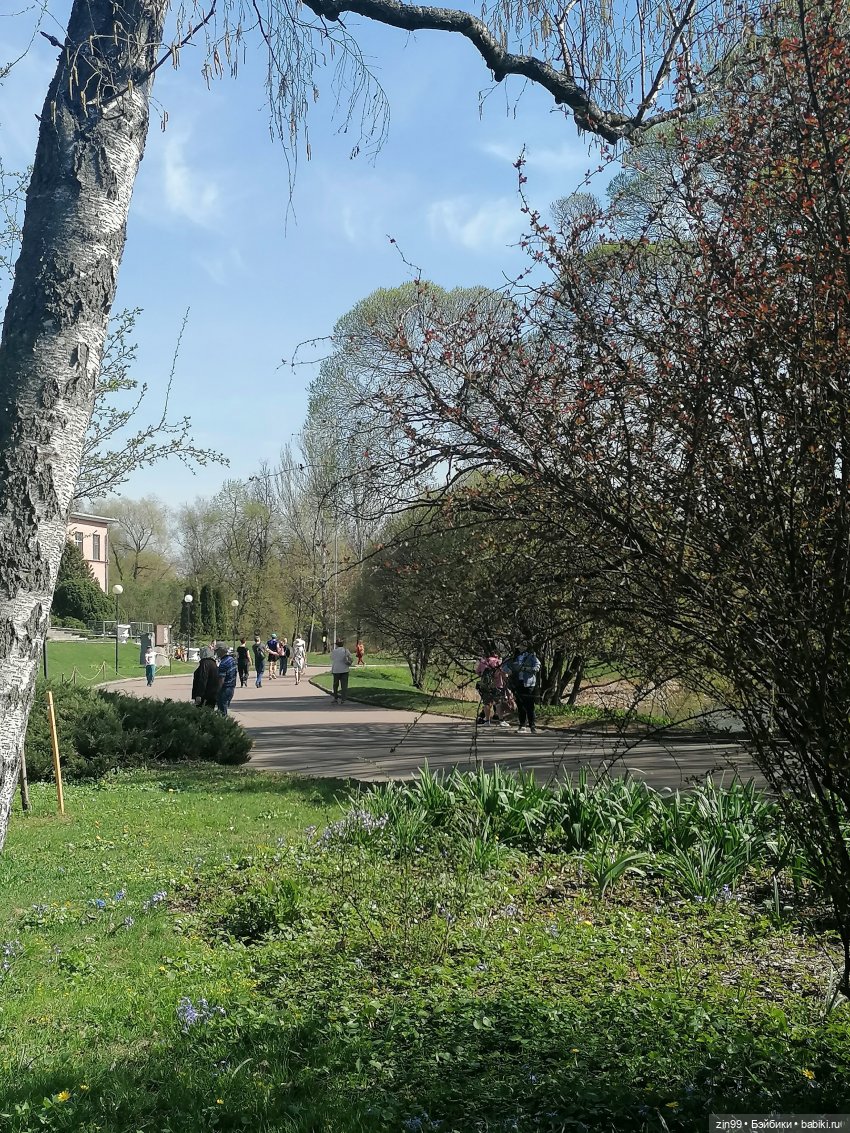 Прогулка в Ботанический сад | Бэйбики Прогулка в Ботанический сад