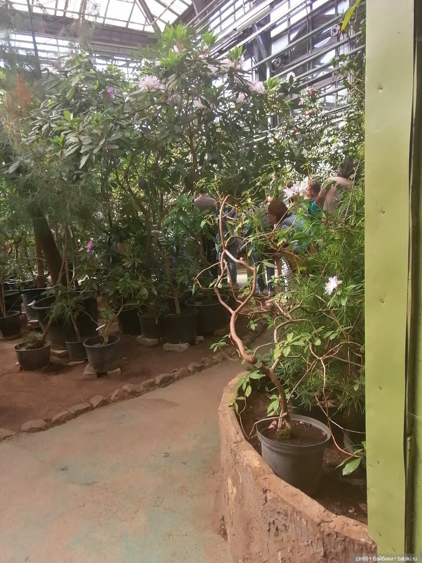 Прогулка в Ботанический сад | Бэйбики Прогулка в Ботанический сад