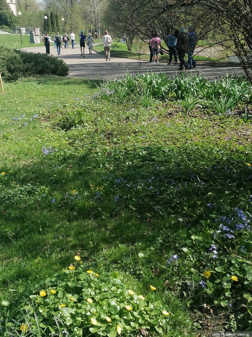 Прогулка в Ботанический сад | Бэйбики Прогулка в Ботанический сад