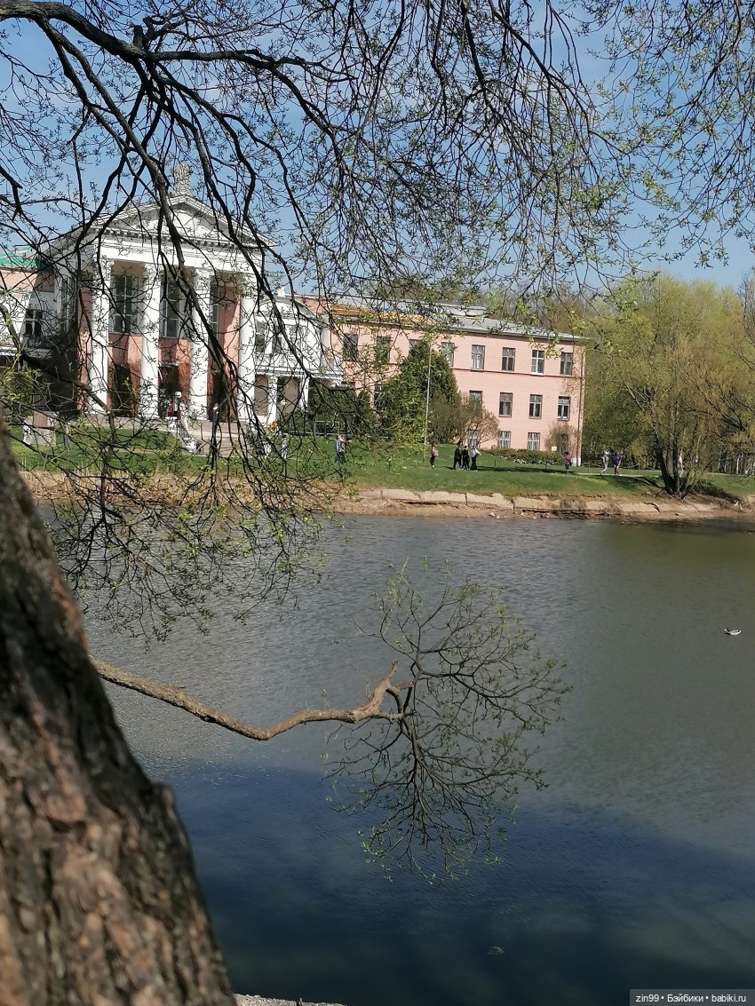 Прогулка в Ботанический сад | Бэйбики Прогулка в Ботанический сад