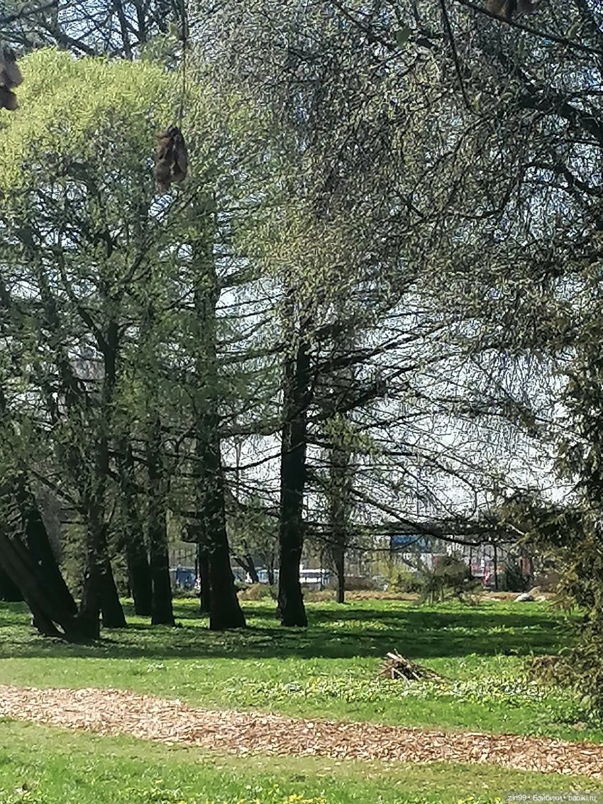 Прогулка в Ботанический сад | Бэйбики Прогулка в Ботанический сад (фото 3)