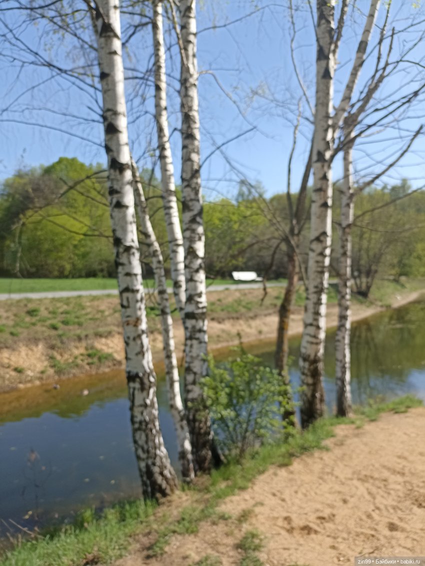 Пока цветут сады — Куклы Rainbow High (Рейнбоу Хай