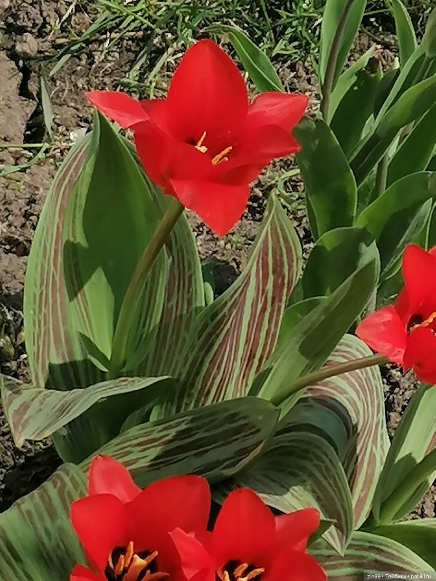 Прогулка по ВДНХ, что нового | Бэйбики Прогулка по ВДНХ, что нового