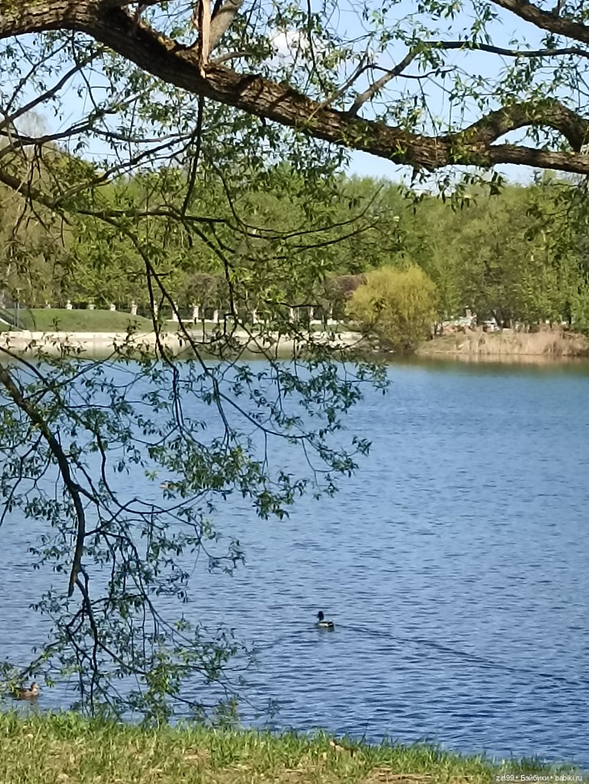 Пока цветут сады — Куклы Rainbow High (Рейнбоу Хай