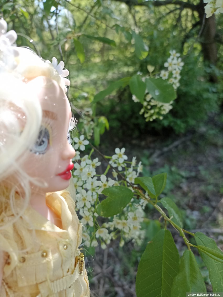 Пока цветут сады — Куклы Rainbow High (Рейнбоу Хай