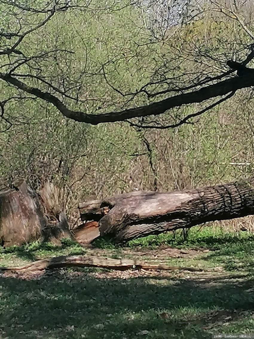 Прогулка по ВДНХ, что нового | Бэйбики Прогулка по ВДНХ, что нового (фото 2)