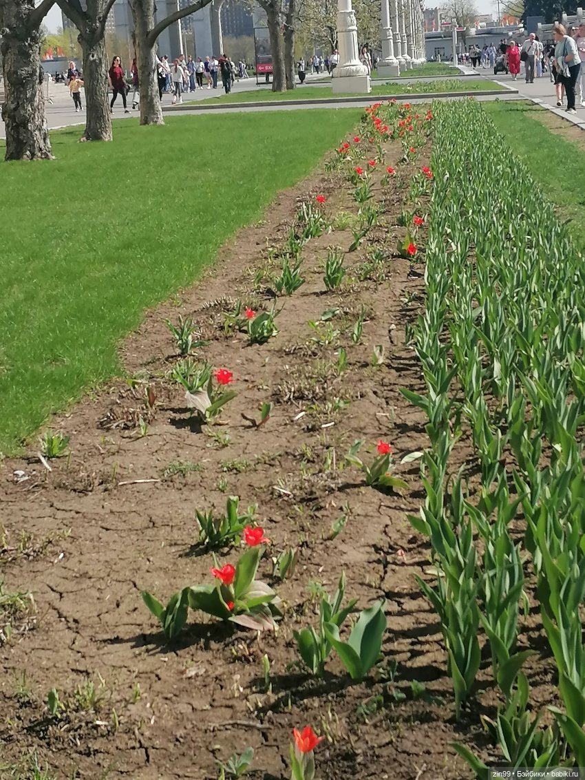 Прогулка по ВДНХ, что нового | Бэйбики Прогулка по ВДНХ, что нового