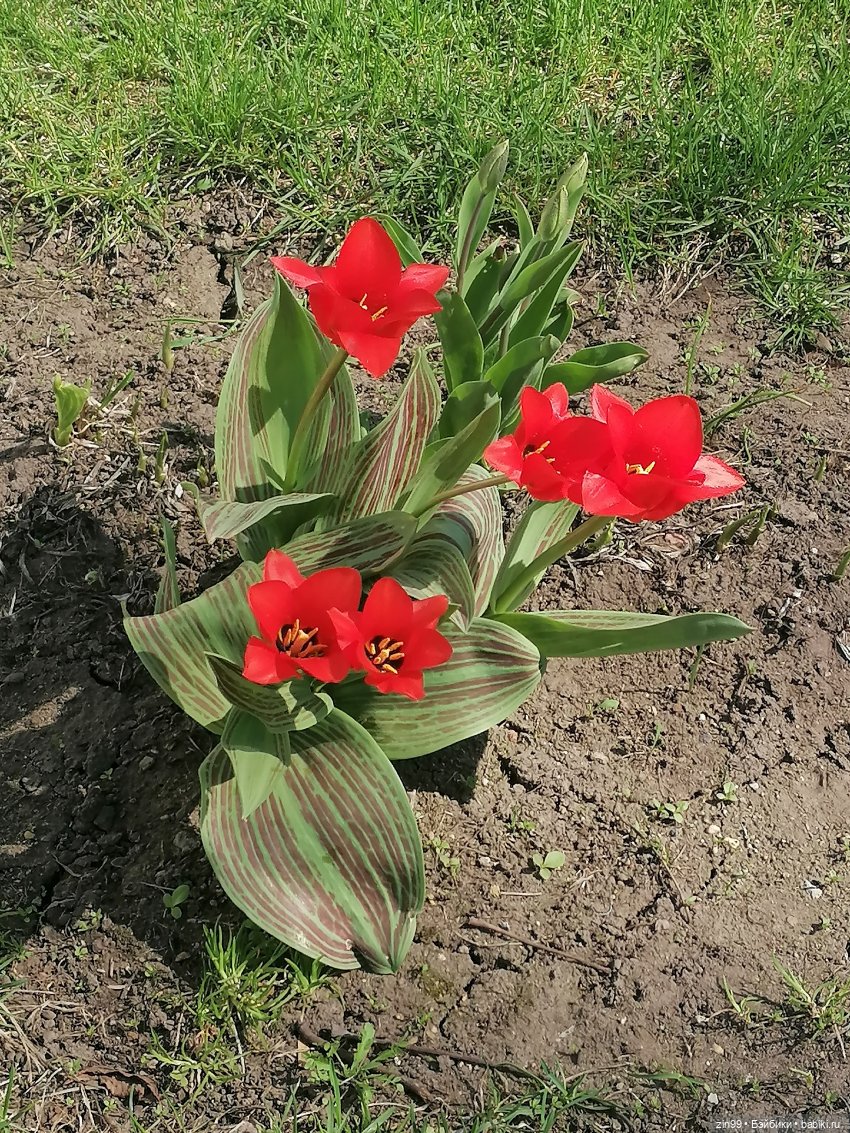 Прогулка по ВДНХ, что нового | Бэйбики Прогулка по ВДНХ, что нового