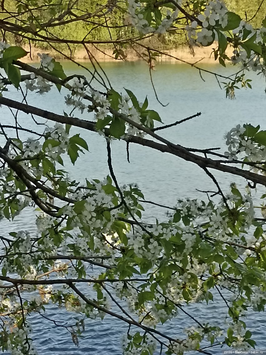 Пока цветут сады — Куклы Rainbow High (Рейнбоу Хай