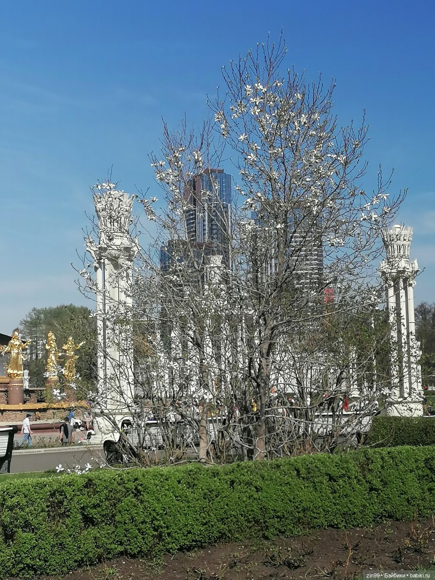 Прогулка по ВДНХ, что нового | Бэйбики Прогулка по ВДНХ, что нового