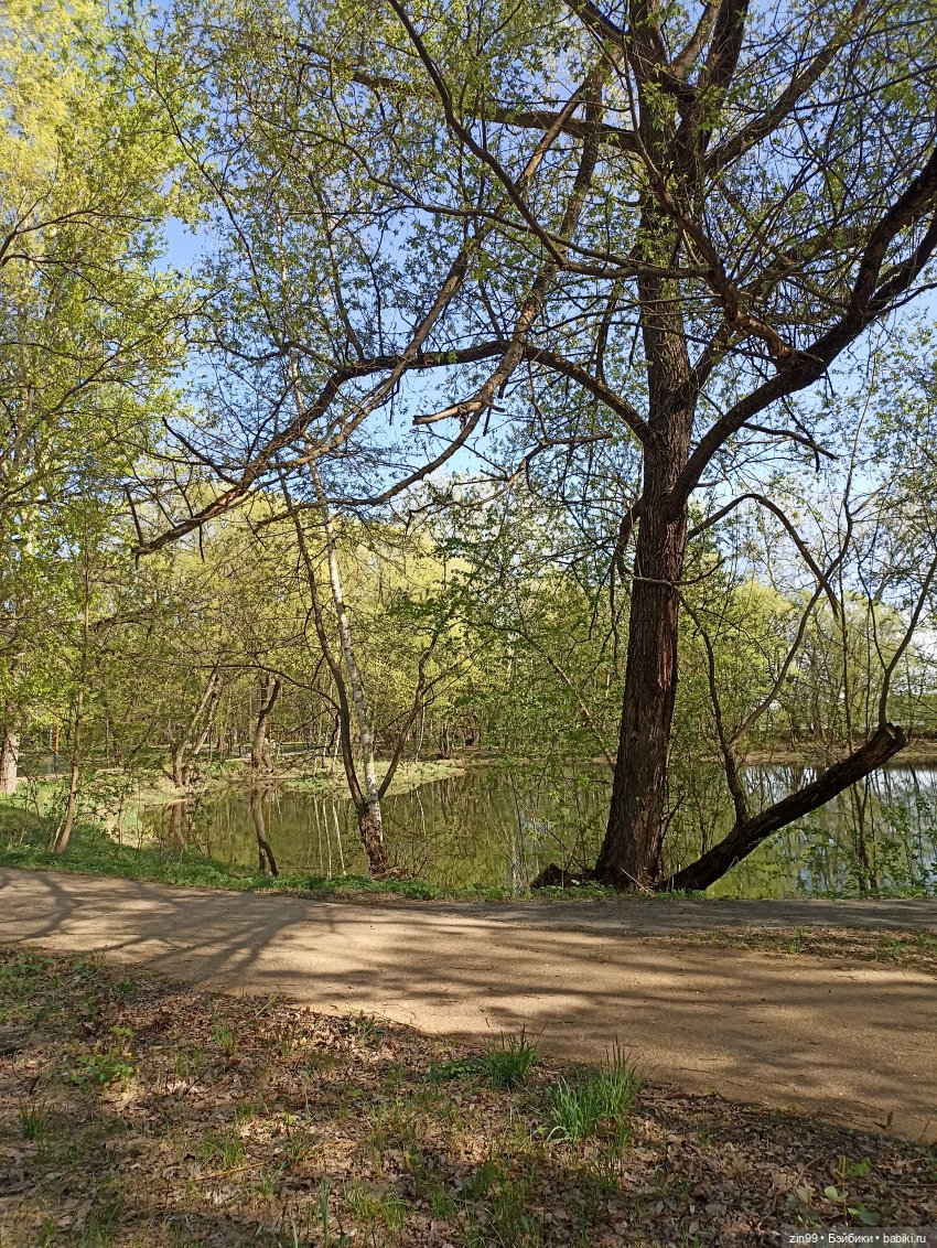 Пока цветут сады — Куклы Rainbow High (Рейнбоу Хай