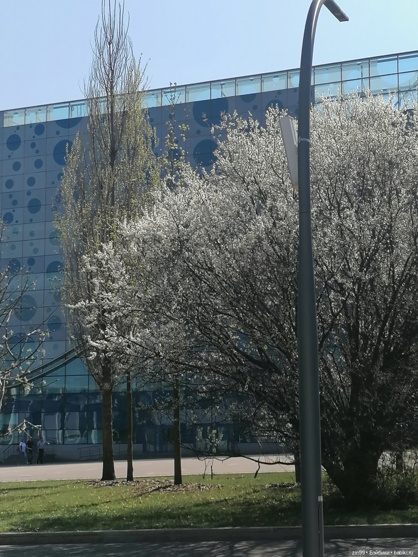 Прогулка по ВДНХ, что нового | Бэйбики Прогулка по ВДНХ, что нового (фото 7)