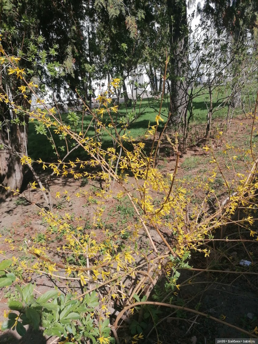 Прогулка по ВДНХ, что нового | Бэйбики Прогулка по ВДНХ, что нового