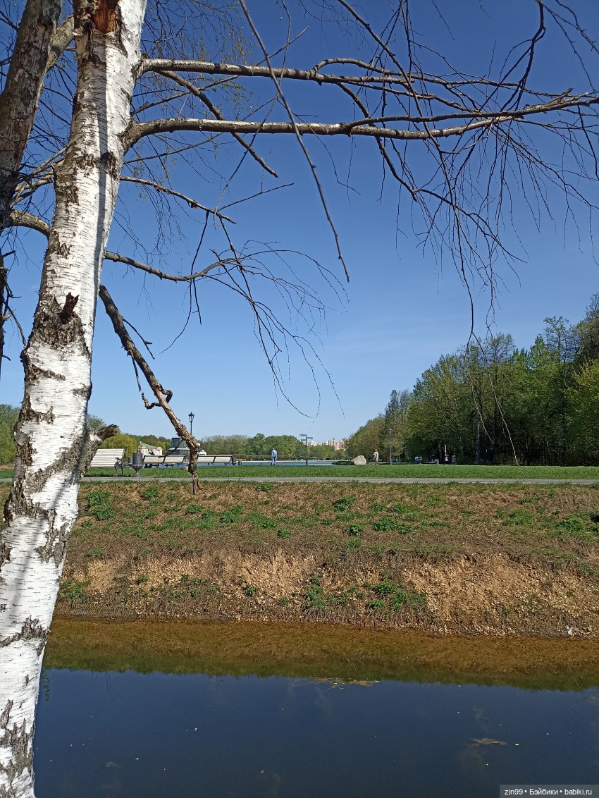 Пока цветут сады — Куклы Rainbow High (Рейнбоу Хай