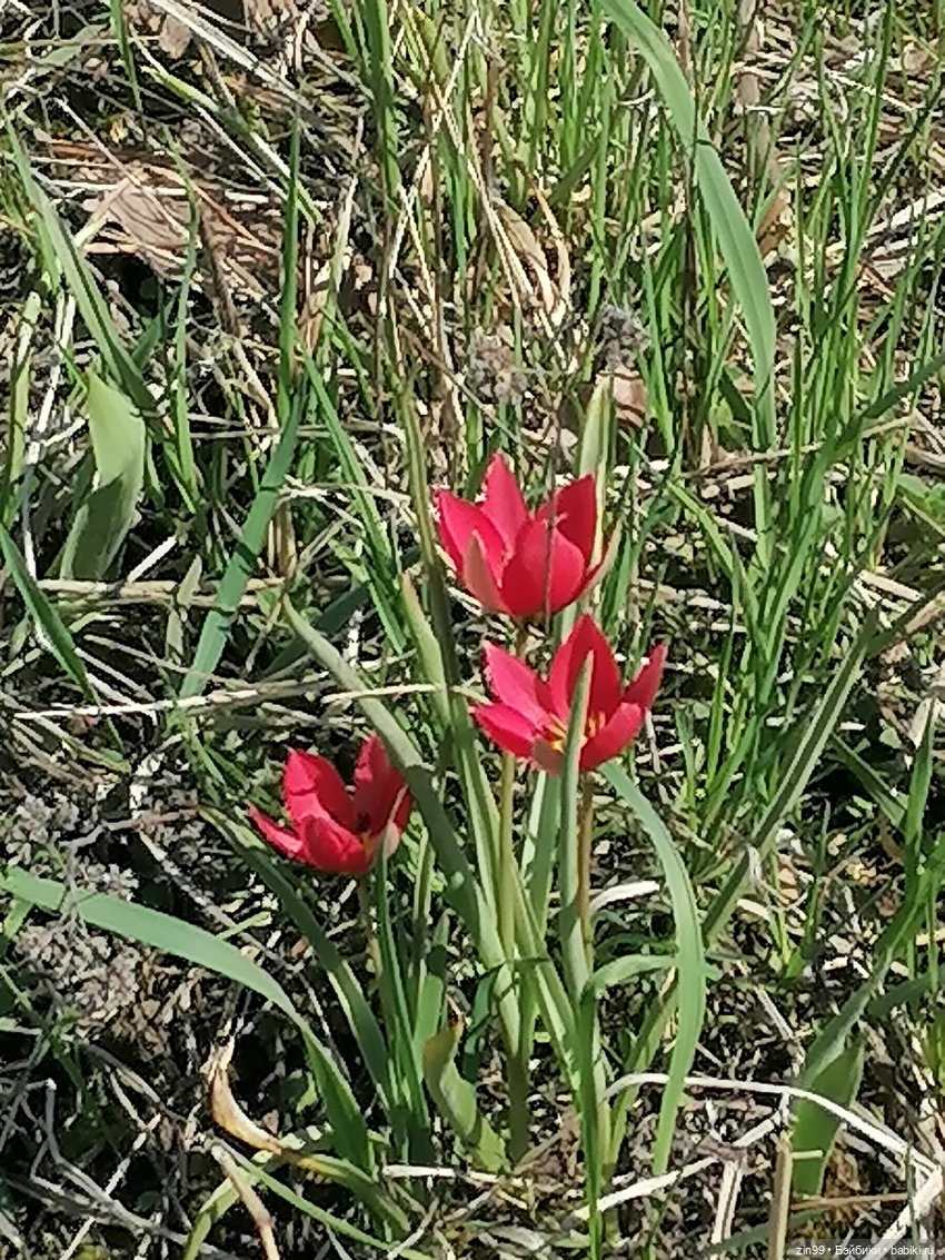 Прогулка по ВДНХ, что нового | Бэйбики Прогулка по ВДНХ, что нового (фото 9)