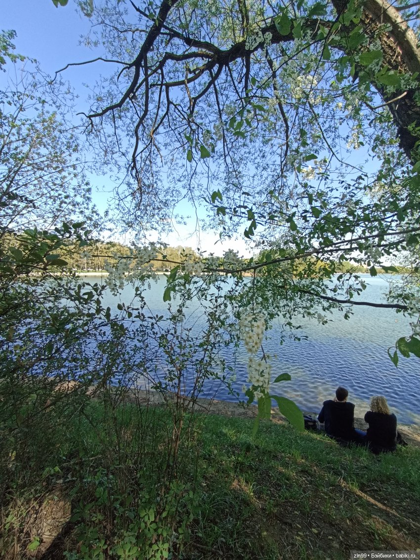 Пока цветут сады — Куклы Rainbow High (Рейнбоу Хай