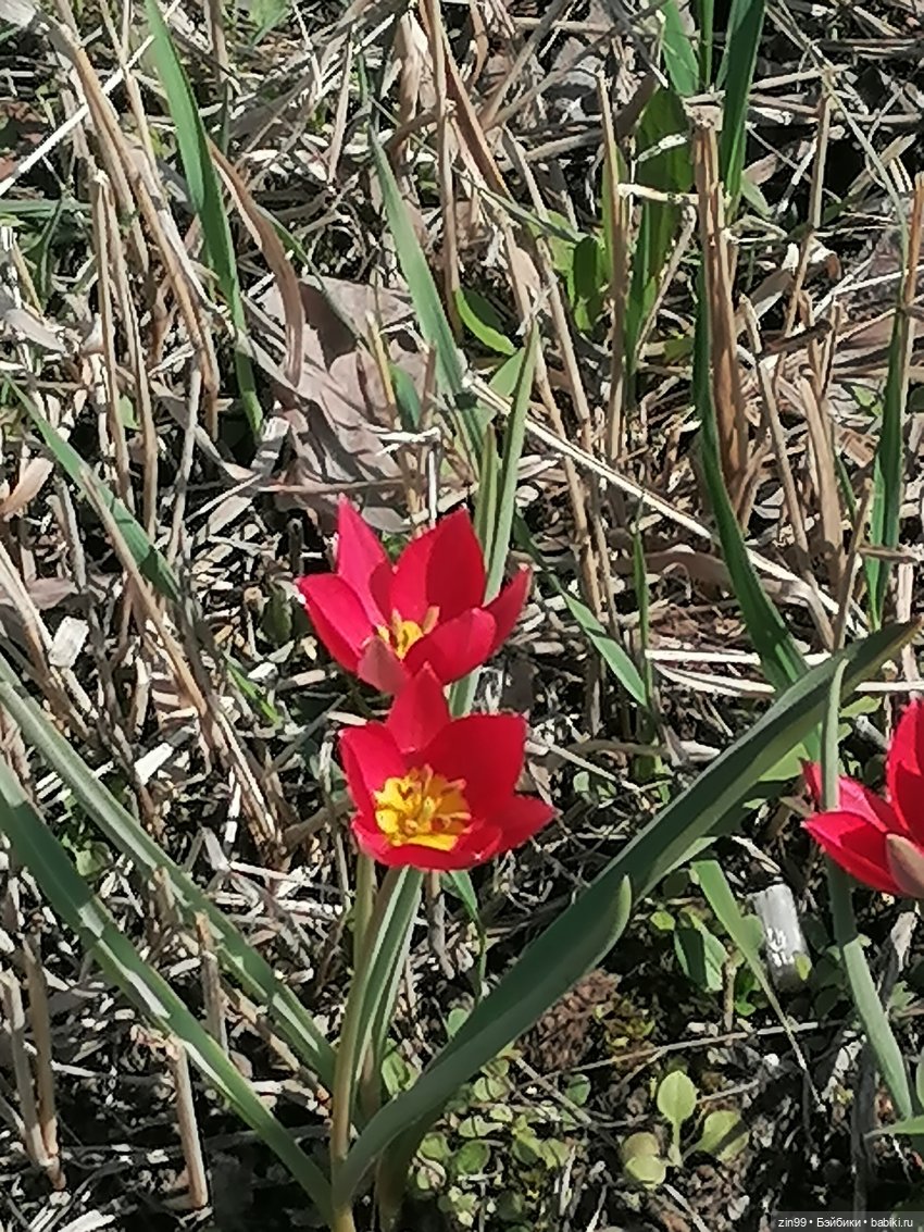 Прогулка по ВДНХ, что нового | Бэйбики Прогулка по ВДНХ, что нового (фото 8)
