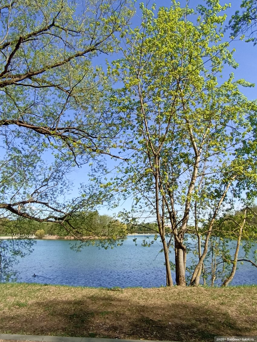 Пока цветут сады — Куклы Rainbow High (Рейнбоу Хай