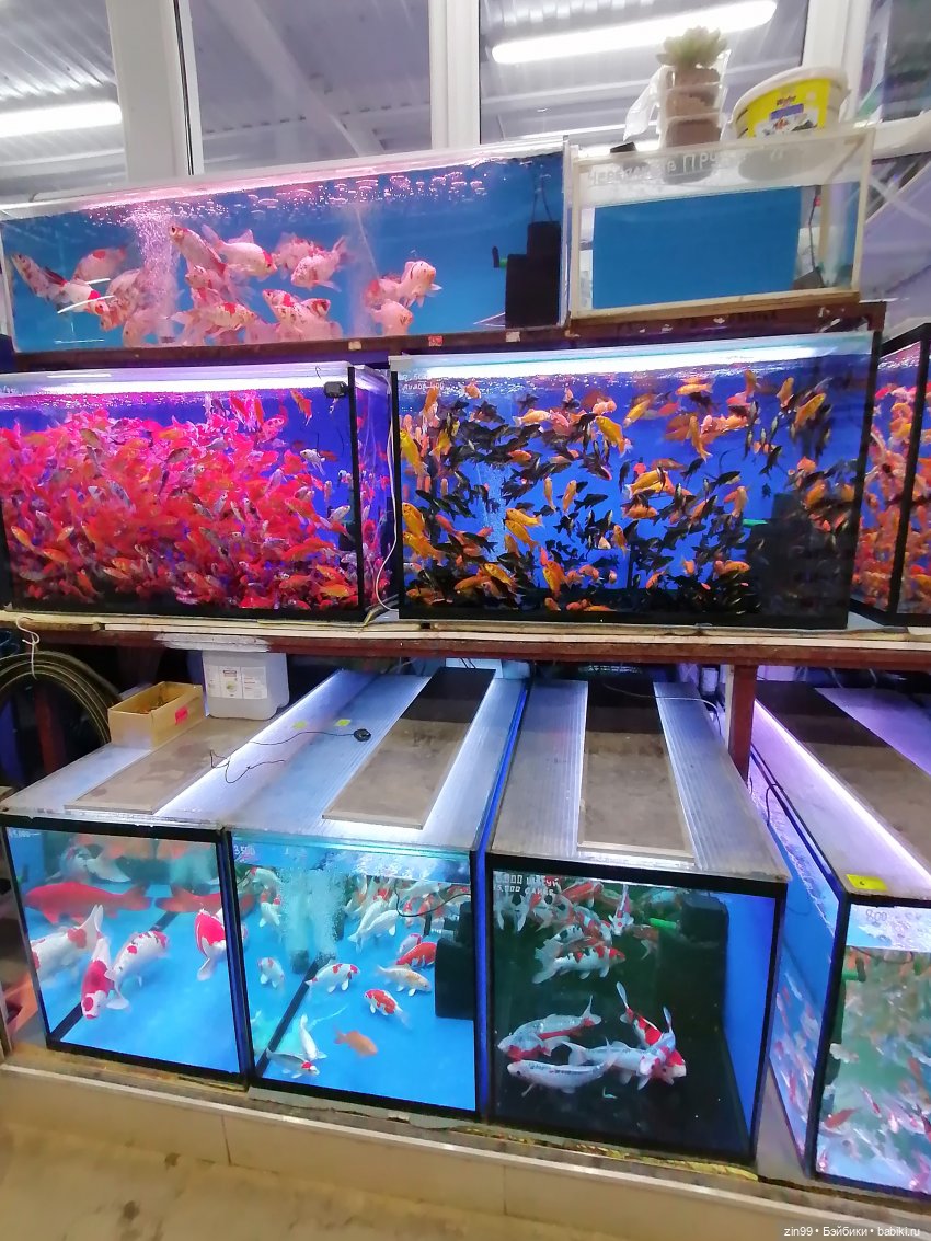 Большая баболи — Куклы Baboliy (Баболи