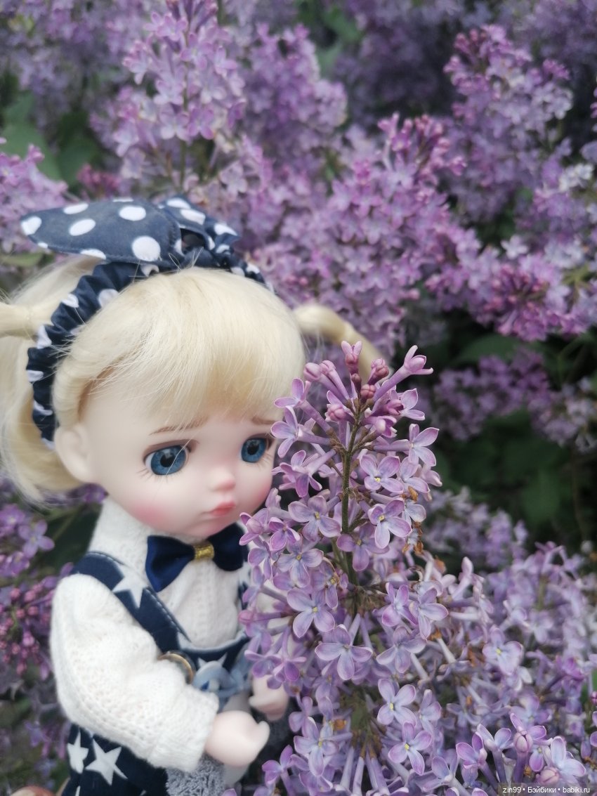 Плыл по городу запах сирени