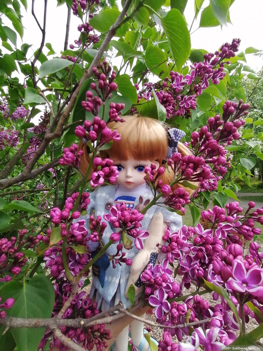 Плыл по городу запах сирени