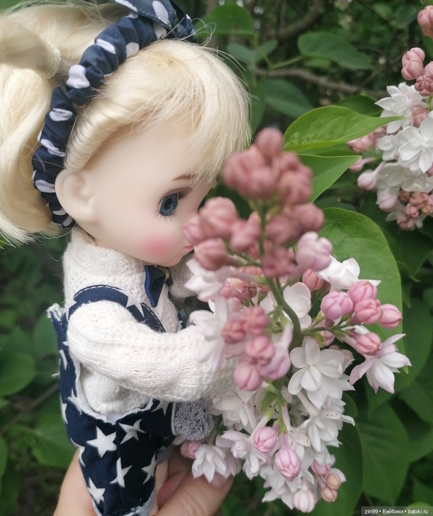 Плыл по городу запах сирени