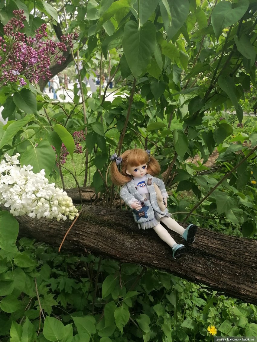 Плыл по городу запах сирени