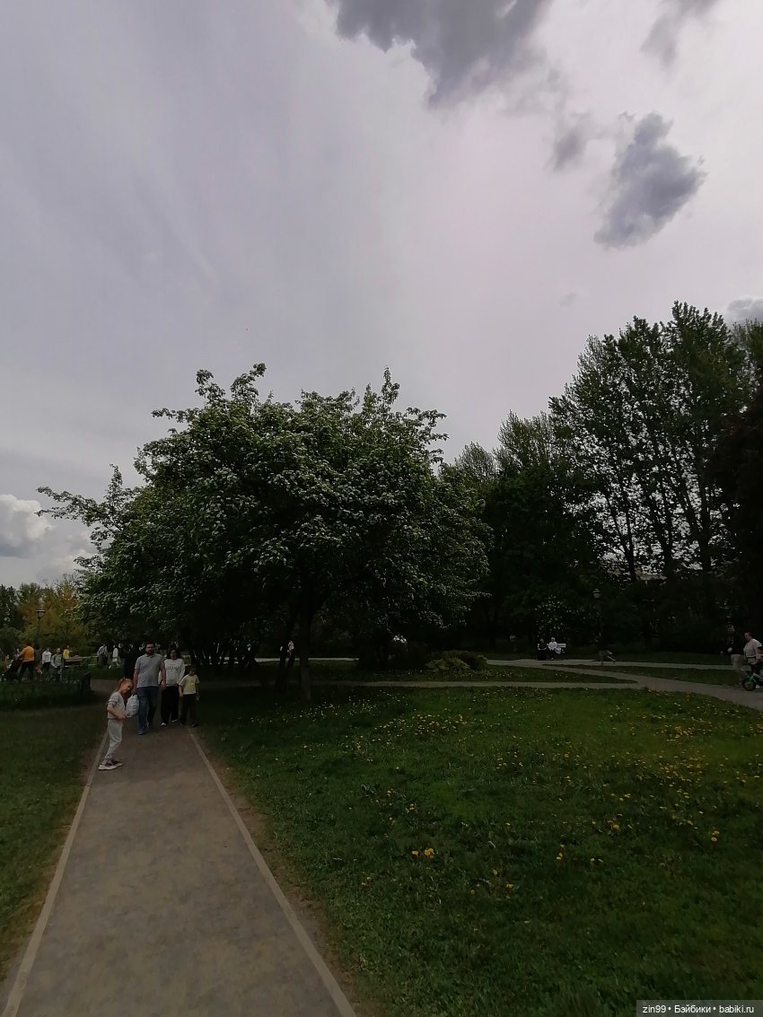 Плыл по городу запах сирени